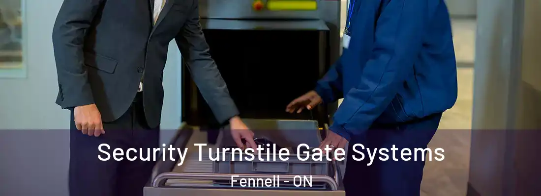  Security Turnstile Gate Systems Fennell - ON