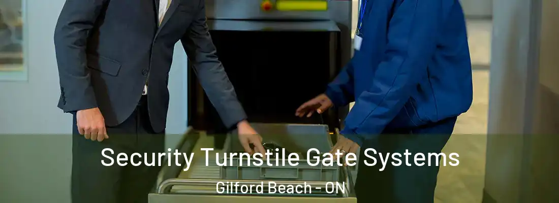  Security Turnstile Gate Systems Gilford Beach - ON