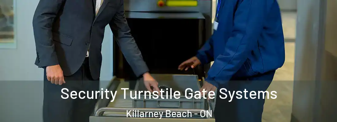  Security Turnstile Gate Systems Killarney Beach - ON