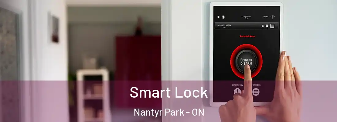  Smart Lock Nantyr Park - ON