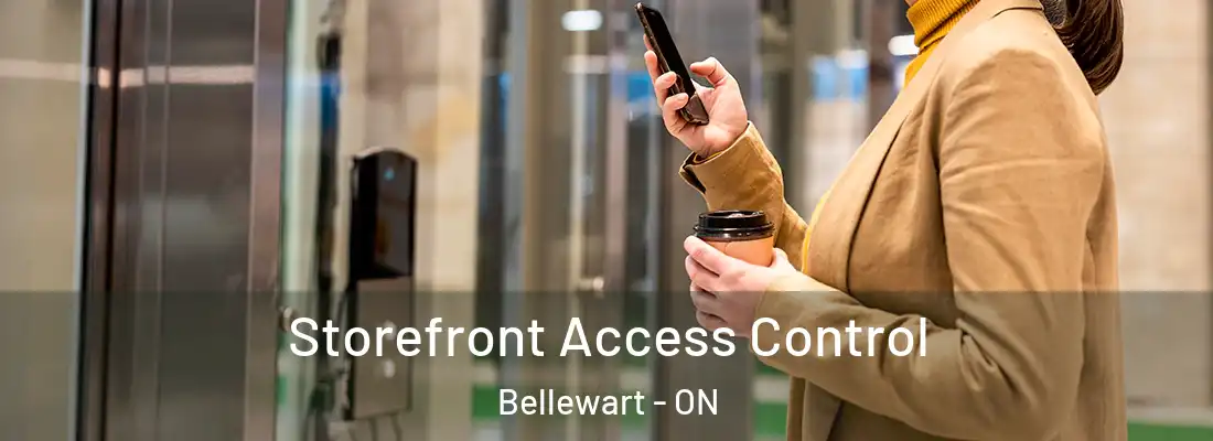  Storefront Access Control Bellewart - ON