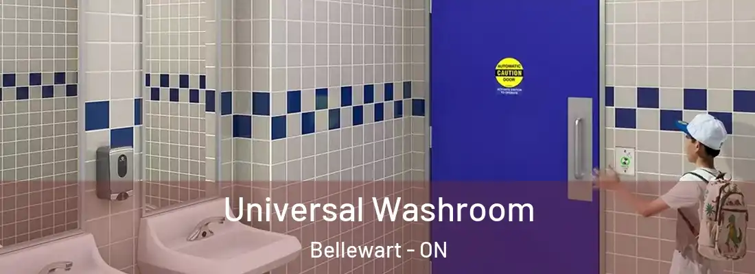  Universal Washroom Bellewart - ON