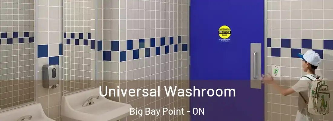  Universal Washroom Big Bay Point - ON