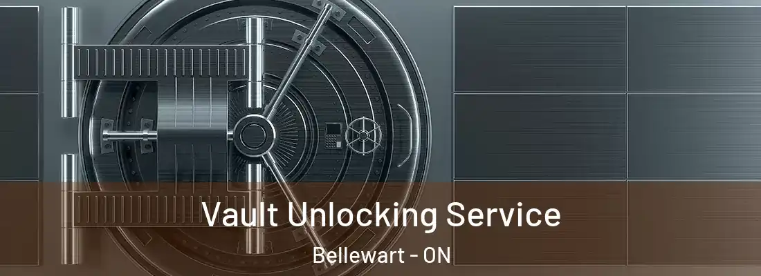  Vault Unlocking Service Bellewart - ON