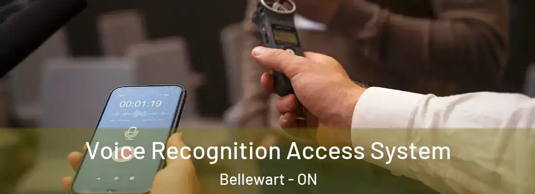  Voice Recognition Access System Bellewart - ON