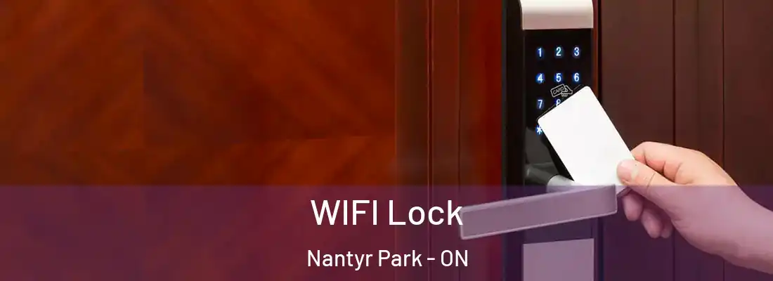  WIFI Lock Nantyr Park - ON